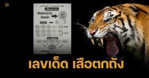 เลขเด็ด เสือตกถัง 16 พ.ค. 68