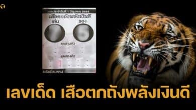 เลขเด็ด เสือตกถังพลังเงินดี 1 มิ.ย. 68 เบอร์พยัคฆ์เหนี่ยวทรัพย์ เบิ้ลควรระวัง