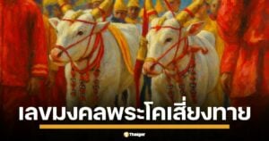 เปิดเลขเด็ดมงคล พระโคพอ พระโคเพียง พระโคคู่ขวัญ วันพืชมงคล 2568 อายุ ส่วนสูง ความยาวลำตัว รอบอก คอหวยจับตาเลขชุดใหญ่จากพิธีศักดิ์สิทธิ์