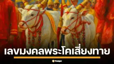 เปิดเลขเด็ดมงคล พระโคพอ พระโคเพียง พระโคคู่ขวัญ วันพืชมงคล 2568 อายุ ส่วนสูง ความยาวลำตัว รอบอก คอหวยจับตาเลขชุดใหญ่จากพิธีศักดิ์สิทธิ์