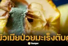 นิสัยเสียดายของ คร่าชีวิต ผัวเมียป่วยมะเร็งตับคู่ เหตุกินผลไม้เน่า-ถั่วเก่า