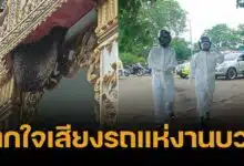 สลด ผึ้งหลวงแตกรังเพราะเสียงรถแห่ สุดท้ายรุมต่อยพระจนมรณภาพ