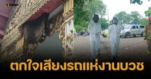 สลด ผึ้งหลวงแตกรังเพราะเสียงรถแห่ สุดท้ายรุมต่อยพระจนมรณภาพ