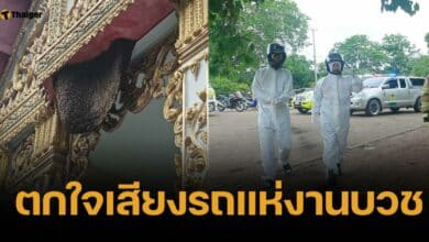 สลด ผึ้งหลวงแตกรังเพราะเสียงรถแห่ สุดท้ายรุมต่อยพระจนมรณภาพ