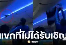 นักบินเดลต้าโอดนกพิราบบุกเครื่องบิน 2 ครั้ง ทำเครื่องดีเลย์