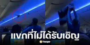 นักบินเดลต้าโอดนกพิราบบุกเครื่องบิน 2 ครั้ง ทำเครื่องดีเลย์
