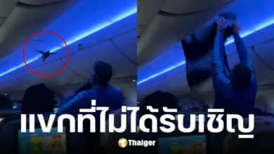 นักบินเดลต้าโอดนกพิราบบุกเครื่องบิน 2 ครั้ง ทำเครื่องดีเลย์