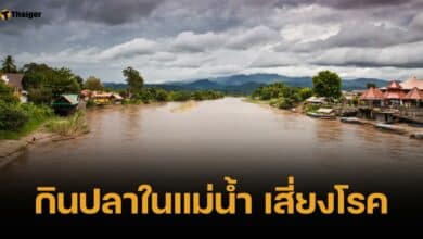 เตือน สารหนู-ตะกั่ว ปนเปื้อนแม่น้ำกกเกินมาตรฐาน กินปลา เสี่ยงป่วย "ไข้ดำ"