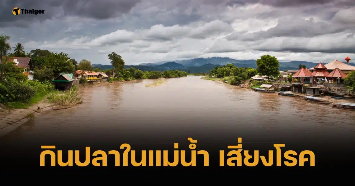 เตือน สารหนู-ตะกั่ว ปนเปื้อนแม่น้ำกกเกินมาตรฐาน กินปลา เสี่ยงป่วย "ไข้ดำ"