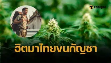 อังกฤษ เตือนพลเมือง เที่ยวไทย ถูกจับขนกัญชาอื้อ คนอินเดีย โดนด้วย