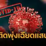 "คำแนะนำล่าสุดเกี่ยวกับวัคซีนโควิด-19 จากองค์การอนามัยโลก 15 พฤษภาคม 2025 จากการทบทวนข้อมูลวิชาการที่มีทั้งหมด สรุปว่าแนะนำให้ใช้วัคซีนที่เป็นสายพันธุ์ JN.1 หรือ KP.2 หรือวัคซีนที่จะปรับสายพันธุ์ใหม่เป็น LP.8.1 ก็ได้ ทั้งนี้วัคซีนล่าสุดที่มีใช้อยู่ในตลาดปัจจุบันคือ JN.1/KP.2 ซึ่งมีการศึกษาพบว่ายังสามารถกระตุ้นภูมิคุ้มกันต่อสายพันธุ์อื่น ๆ ที่กำลังระบาดอยู่รวมถึง XEC และ LP.8.1 ได้"