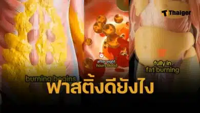 ร่างกายเปลี่ยนไปอย่างไร เมื่ออดอาหาร 36 ชั่วโมง สลายไขมัน ดึงมาใช้เป็นพลังงาน ซ่อมแซมร่างกาย กล้ามเนื้อ