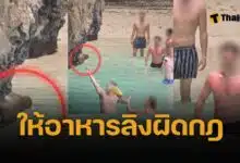 เร่งล่าตัว นทท.ต่างชาติ ให้อาหารลิงฝ่าฝืนกฎ ทำลายระบบนิเวศน์