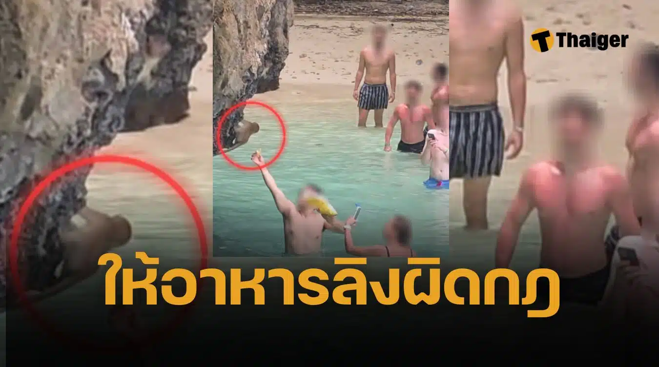 เร่งล่าตัว นทท.ต่างชาติ ให้อาหารลิงฝ่าฝืนกฎ ทำลายระบบนิเวศน์