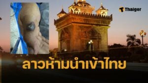 ลาวผวา สั่งห้ามนำเข้าเนื้อจากไทย หวั่นแพร่เชื้อแอนแทรกซ์ หลังพบผู้เสียชีวิตรายแรกในรอบ 30 ปี