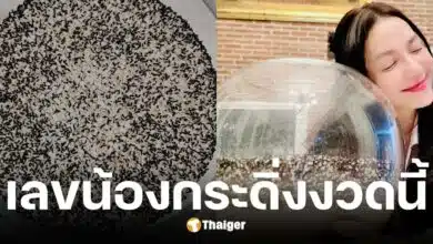 อ๋อม สกาวใจ แจกเลขน้องกระดิ่ง งวด 2 พ.ค. 68