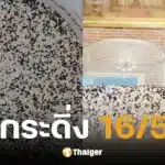 เลขเด็ด น้องกระดิ่ง อ๋อม สกาวใจ งวดวันที่ 16/5/68