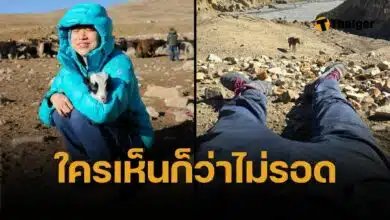 มิ้นท์ I Roam Alone เกือบตายที่เนปาล ถูกม้าลากทั้งตัว รอความช่วยเหลือ 10 ชั่วโมง