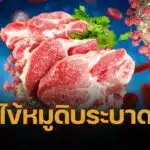 สมศักดิ์ เทพสุทิน จับตา ไข้หมูดิบระบาด แพร่ เสียชีวิตแล้ว 2 ราย ป่วย 14 ราย  แนะกินเนื้อหมูปรุงสุกเท่านั้น ป้องกันเชื้อไข้หูดับเข้าร่างกาย 