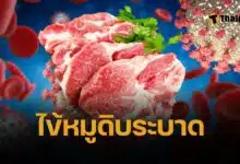 สมศักดิ์ เทพสุทิน จับตา ไข้หมูดิบระบาด แพร่ เสียชีวิตแล้ว 2 ราย ป่วย 14 ราย  แนะกินเนื้อหมูปรุงสุกเท่านั้น ป้องกันเชื้อไข้หูดับเข้าร่างกาย 