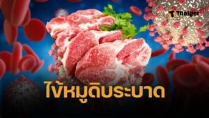 สมศักดิ์ เทพสุทิน จับตา ไข้หมูดิบระบาด แพร่ เสียชีวิตแล้ว 2 ราย ป่วย 14 ราย  แนะกินเนื้อหมูปรุงสุกเท่านั้น ป้องกันเชื้อไข้หูดับเข้าร่างกาย 