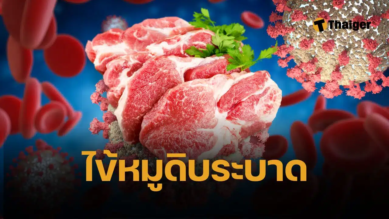 สมศักดิ์ เทพสุทิน จับตา ไข้หมูดิบระบาด แพร่ เสียชีวิตแล้ว 2 ราย ป่วย 14 ราย แนะกินเนื้อหมูปรุงสุกเท่านั้น ป้องกันเชื้อไข้หูดับเข้าร่างกาย