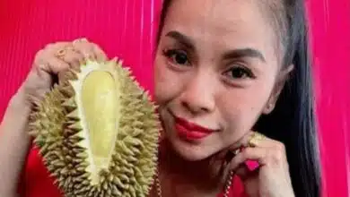 เจ๊แก้วแม่ค้าทุเรียนล่าสุด