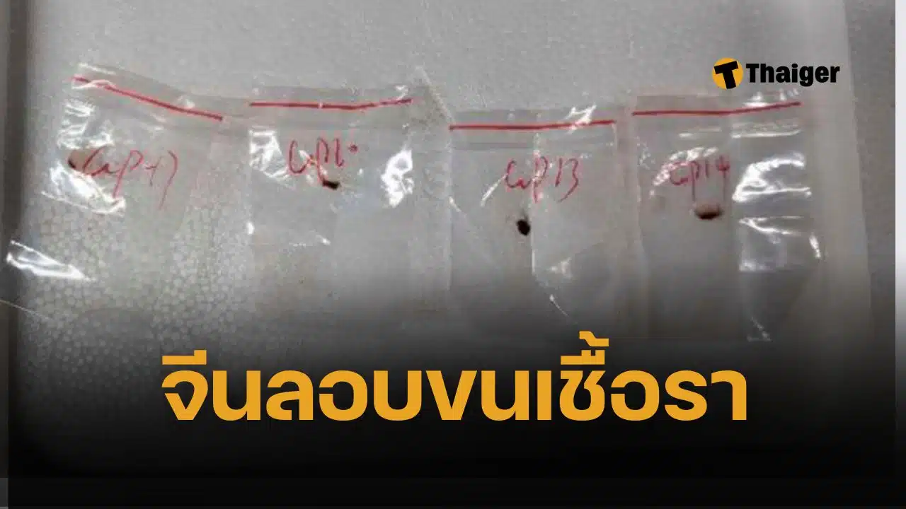จับ 2 นักวิจัยจีน ตั้งข้อหาแอบลักลอบนำเชื้อราชนิดอันตราย Fusarium graminearum เข้าสหรัฐฯ หวั่นเป็น "อาวุธชีวภาพทางเกษตร"
