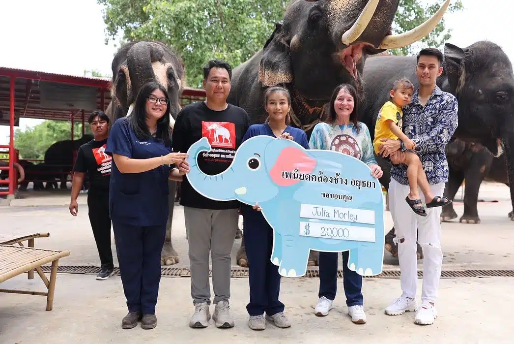 โอปอล สุชาตา นำทีมมิสเวิลด์ 2025 เยือนหมู่บ้านช้างอยุธยา ขอบคุณ จูเลีย มอร์ลีย์ บริจาค 20,000 ดอลลาร์ช่วยช้างเร่ร่อน