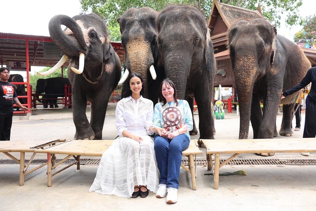 โอปอล สุชาตา นำทีมมิสเวิลด์ 2025 เยือนหมู่บ้านช้างอยุธยา ขอบคุณ จูเลีย มอร์ลีย์ บริจาค 20,000 ดอลลาร์ช่วยช้างเร่ร่อน