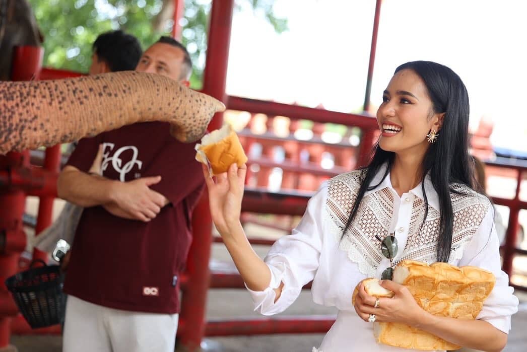 โอปอล สุชาตา นำทีมมิสเวิลด์ 2025 เยือนหมู่บ้านช้างอยุธยา ขอบคุณ จูเลีย มอร์ลีย์ บริจาค 20,000 ดอลลาร์ช่วยช้างเร่ร่อน