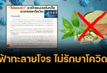 ฟ้าทะลายโจร ไม่รักษาโควิด!