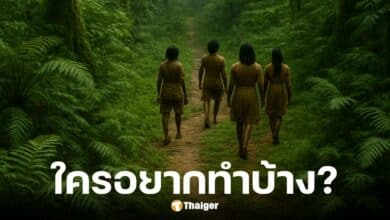 อุทยานธรรมชาติเสินหนงเจี้ยเปิดรับสมัครตำแหน่งคนป่า เงินเดือนสูง