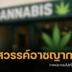 จับแล้ว หนุ่มไอริชหนีคดี มาเปิดร้านกัญชาที่กระบี่ อึ้งหมายจับ 30 กว่าคดี ลอบอยู่ไทยเกินวีซ่า