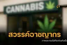 จับแล้ว หนุ่มไอริชหนีคดี มาเปิดร้านกัญชาที่กระบี่ อึ้งหมายจับ 30 กว่าคดี ลอบอยู่ไทยเกินวีซ่า