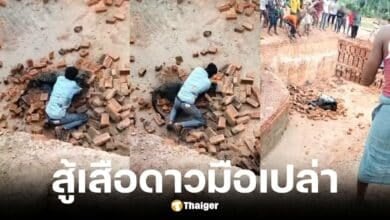 หนุ่มอินเดียสู้เสือดาวมือเปล่ารอดตายมาได้