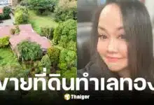ลานนา คัมมินส์ ประกาศขายเฮือนสุนทรี ร้านอาหารเชียงใหม่ ราคา 55 ล้าน