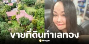ลานนา คัมมินส์ ประกาศขายเฮือนสุนทรี ร้านอาหารเชียงใหม่ ราคา 55 ล้าน
