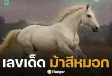 เลขเด็ด ม้าสีหมอก หวยออกตรงวันจันทร์ 16 มิถุนายน 2568