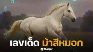 เลขเด็ด ม้าสีหมอก หวยออกตรงวันจันทร์ 16 มิถุนายน 2568