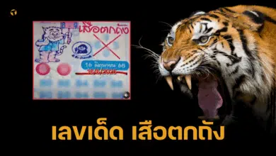 เลขเด็ด เสือตกถัง 16 มิถุนายน 2568 พยัคฆราชซ่อนเล็บ 4 ตัวพลังเทพ