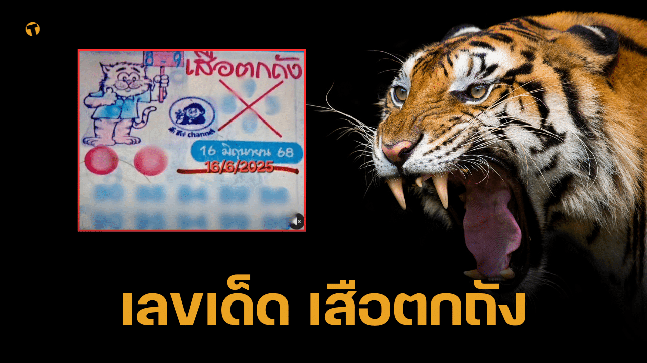 เลขเด็ด เสือตกถัง 16 มิถุนายน 2568 พยัคฆราชซ่อนเล็บ 4 ตัวพลังเทพ