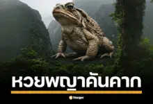 อาร์ต ลอตเตอรี่พลัส บุกยโสธร ขอพรพญาแถน (พญาคันคาก) เปิดเลขเด็ด บั้งไฟ เลขเด่น-เลขท้าย 2 ตัว ลุ้นรางวัลสลากกินแบ่งรัฐบาลไทย วันอังคารที่ 1 กรกฎาคม พุทธศักราช 2568