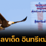 เลขเด็ด อินทรีเฒ่า 1 ก.ค. 68 โพยเวหาสีเทา สามตัวท้ายเน้นสวยมาก