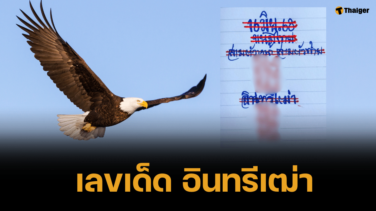 เลขเด็ด อินทรีเฒ่า 1 ก.ค. 68 โพยเวหาสีเทา สามตัวท้ายเน้นสวยมาก