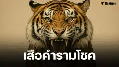 เลขเด็ด เสือตกถังพลังเงินดี งวดหวยออก 1 กรกฎาคม 2568