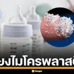 ขวดนม ไมโครพลาสติก