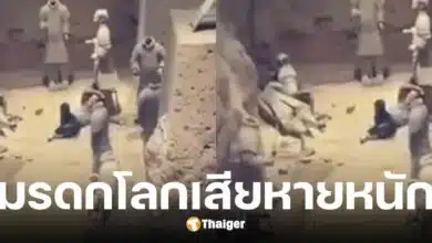 ทางการจีนคุมตัวนักท่องเที่ยวชายโดดรั้วลงหลุมกองทัพทหารดินเผา
