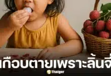 เด็กหญิง 6 ขวบ ถูกหามส่ง ICU หลังกินลิ้นจี่เกือบสิบลูก หมอเตือน ไม่ควรกินเกินจำนวน อันตรายถึงชีวิต