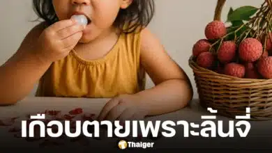 เด็กหญิง 6 ขวบ ถูกหามส่ง ICU หลังกินลิ้นจี่เกือบสิบลูก หมอเตือน ไม่ควรกินเกินจำนวน อันตรายถึงชีวิต